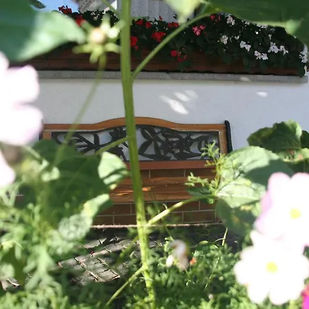 贝格霍夫酒店 - 餐厅 酒店 Berghausen (Rhein-Lahn)