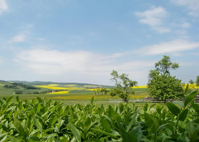 - Restaurant Berghof Hotel 3*